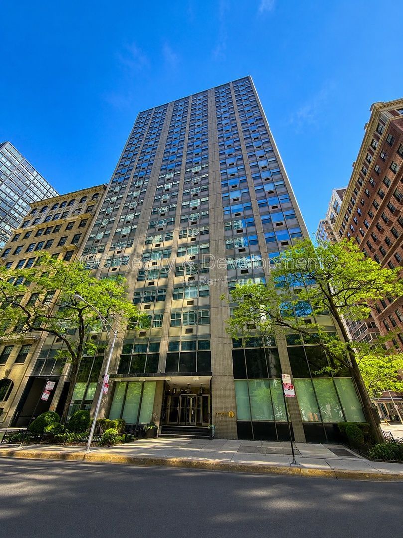 *** MAGNIFICENT MILE / HARDWOOD FLOORS / WALK TO TRAIN / ROOFTOP DECK / ONSITE GYM *** property image