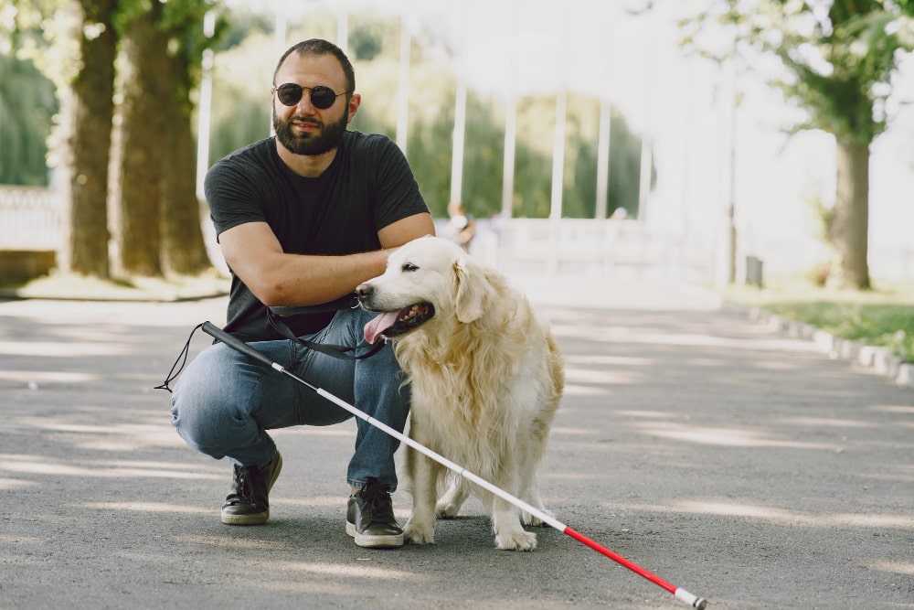 Service Animals And Assistance Animals